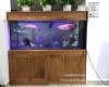Hồ cá rồng 1m76 lắp đặt tại nhà anh Bình Thủ Đức - Tphcm 