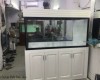 Hồ cá rồng 1m55 lắp đặt tại nhà anh Cừơng. Tphm