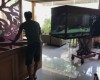 Hồ cá  cá rồng 2m lắp đặt tại Cafe cá rồng Vũng tàu 
