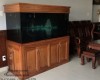 Hồ cá rồng 1m6 lắp đặt tại nhà anh Hùng Hố Nai - Biên Hoà