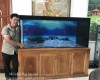 Hồ cá rồng 2m lắp đặt tại nhà anh Hiếu Trảng Dài   - Biên Hoà
