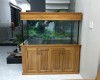 Hồ cá rồng 1m55 lắp đặt tại nhà anh Tuấn  Long Bình     - Biên Hoà