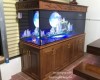 Hồ cá rồng 2m2 lắp đặt tại nhà anh Lĩnh -Bình Dương 