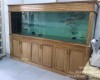 Hồ ca rồng 2m50  lắp đặt tại nhà anh Hải Quân 12 - Tphcm