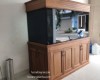 Hồ cá rồng 1m6 lắp đặt tại nhà anh Hùng Tân Vạn  - Biên Hoà