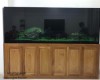 Hồ cá rồng 2m6 lắp đặt tại nhà anh Vũ sân bay Tân Sơn Nhât