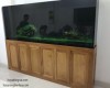 Hồ cá rồng 2m6 lắp đặt tại nhà anh Vũ sân bay Tân Sơn Nhât