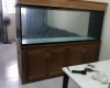 Hồ cá rồng 2m lắp đặt tại  nhà chú Trí   Biên Hoà