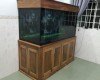 Hồ cá rồng 1m55 lắp đặt tại  nhà anh Long Thành - Đồng Nai 