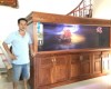 Hồ cá rồng 2m8!lắp đặt tại nhà anh Mến Vĩnh Long