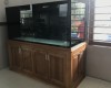 Hồ cá rồng 1m76 lắp đặt tại nhà anh Tuấn  Xuân Lộc - Đồng Nai .