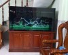 Hồ cá rồng 1m6 lắp đặt tại nhà anh Hùynh  Dĩ an - Bình Dương .